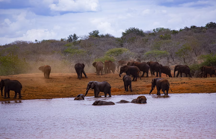 Tsavo National Park - East & West